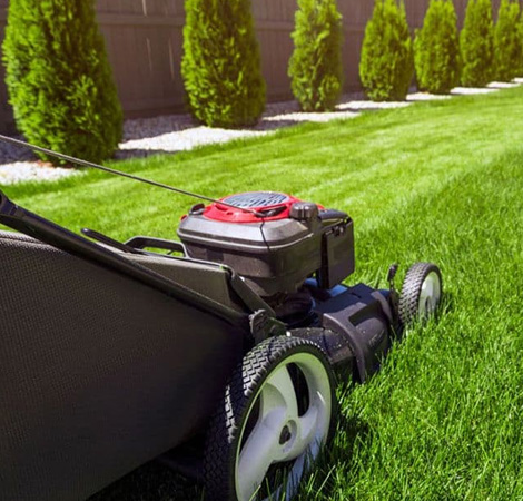 Affordable Lawn Care and Mantainance in Sterling, UT