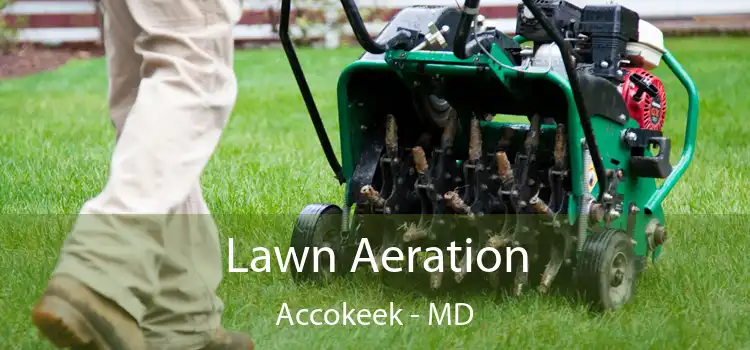 Lawn Aeration Accokeek - MD