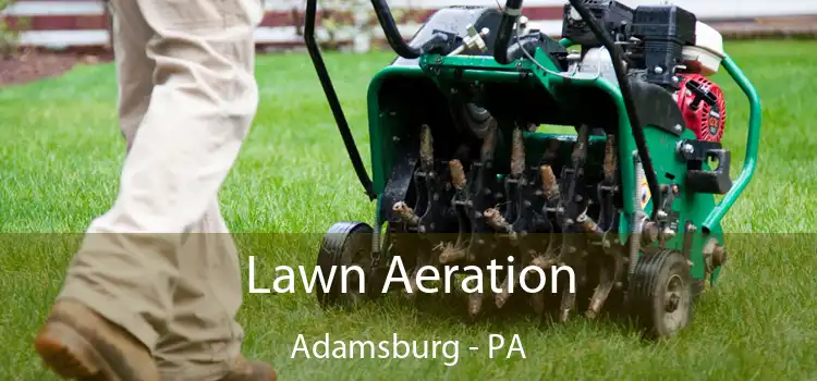  Lawn Aeration Adamsburg - PA