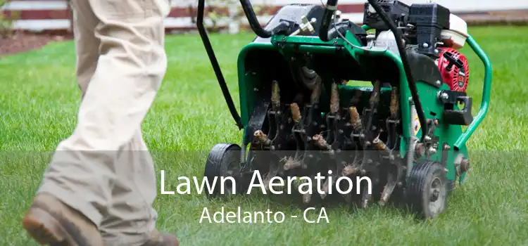 Lawn Aeration Adelanto - CA