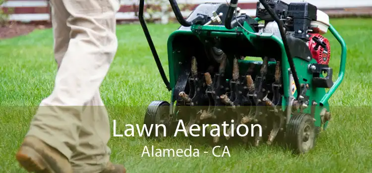 Lawn Aeration Alameda - CA