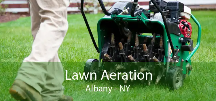 Lawn Aeration Albany - NY