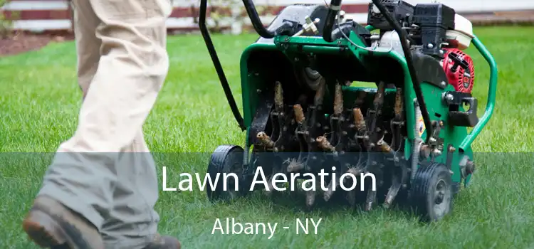 Lawn Aeration Albany - NY