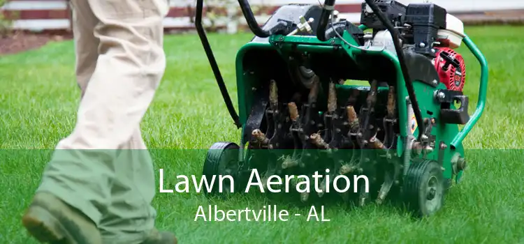 Lawn Aeration Albertville - AL