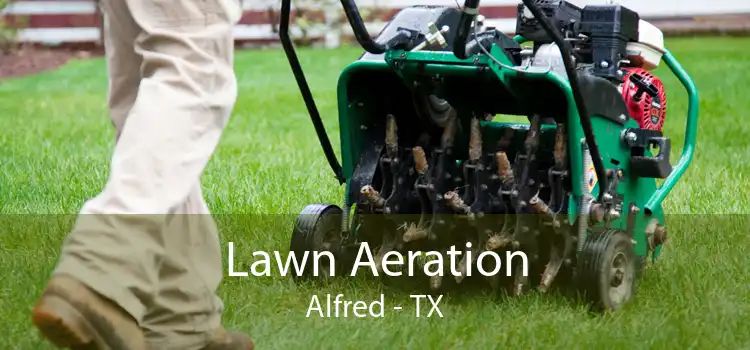 Lawn Aeration Alfred - TX