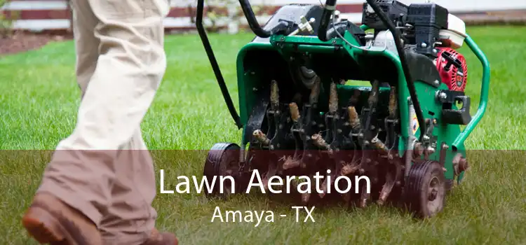 Lawn Aeration Amaya - TX