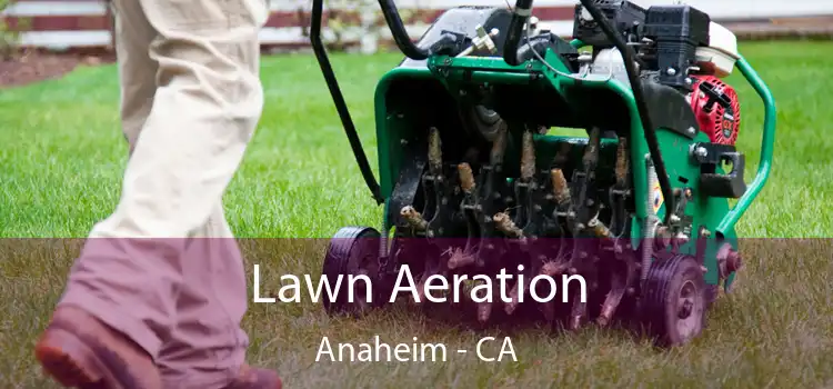 Lawn Aeration Anaheim - CA