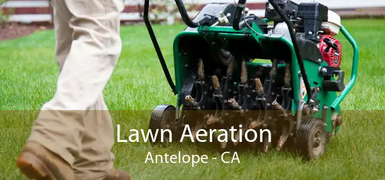 Lawn Aeration Antelope - CA