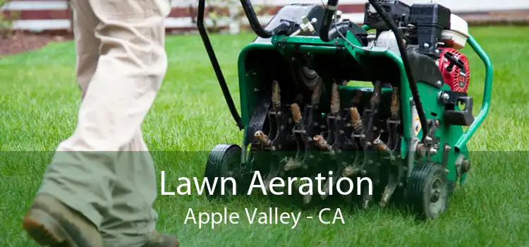 Lawn Aeration Apple Valley - CA