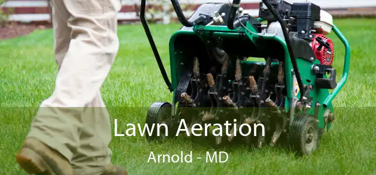 Lawn Aeration Arnold - MD