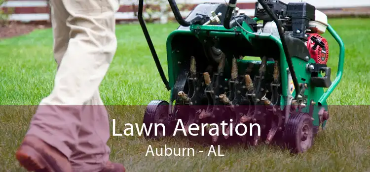 Lawn Aeration Auburn - AL