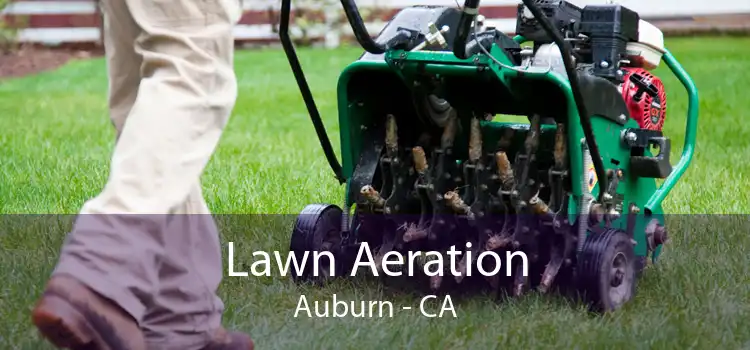 Lawn Aeration Auburn - CA