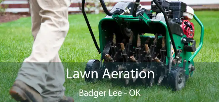 Lawn Aeration Badger Lee - OK