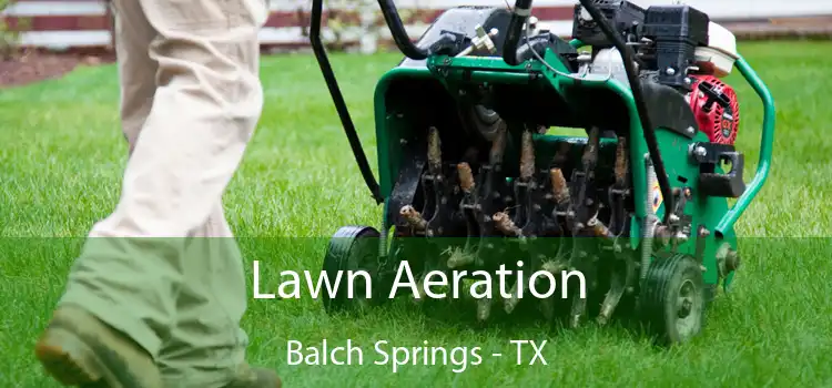 Lawn Aeration Balch Springs - TX