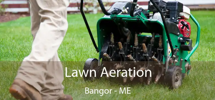 Lawn Aeration Bangor - ME