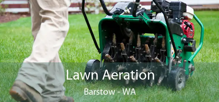 Lawn Aeration Barstow - WA