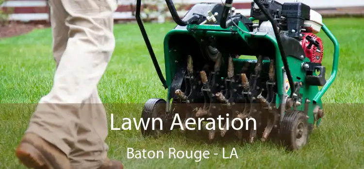 Lawn Aeration Baton Rouge - LA