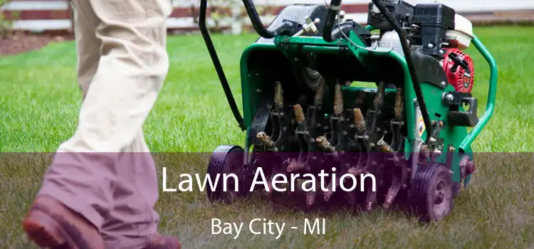  Lawn Aeration Bay City - MI