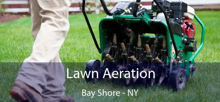 Lawn Aeration Bay Shore - NY