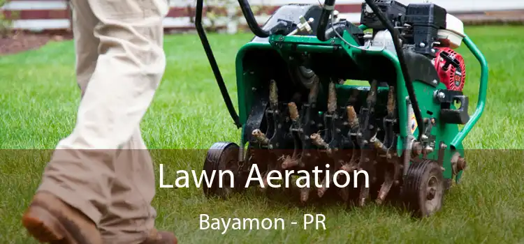 Lawn Aeration Bayamon - PR