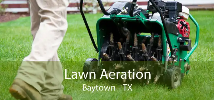 Lawn Aeration Baytown - TX