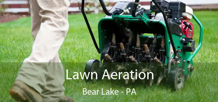 Lawn Aeration Bear Lake - PA