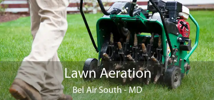 Lawn Aeration Bel Air South - MD