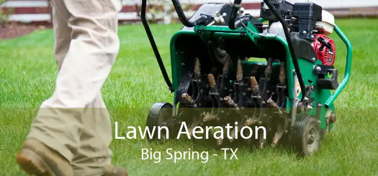 Lawn Aeration Big Spring - TX