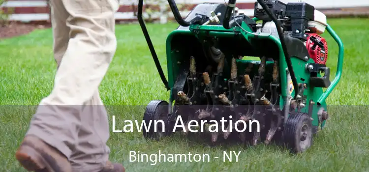 Lawn Aeration Binghamton - NY