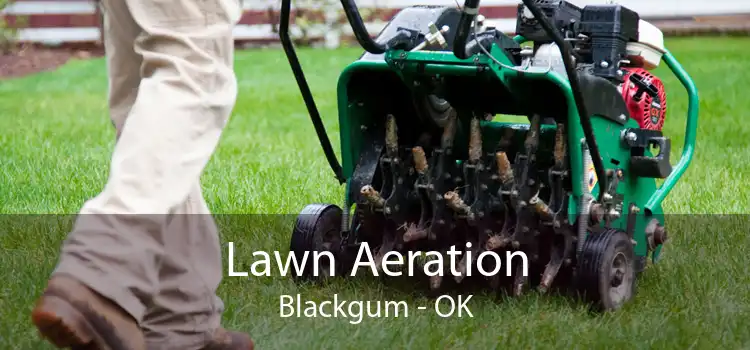 Lawn Aeration Blackgum - OK