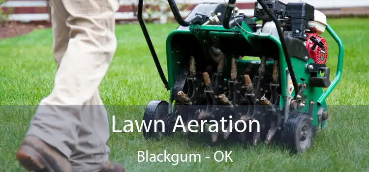 Lawn Aeration Blackgum - OK