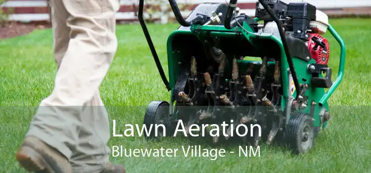 Lawn Aeration Bluewater Village - NM