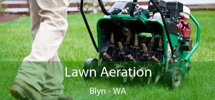 Lawn Aeration Blyn - WA