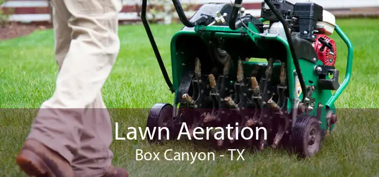 Lawn Aeration Box Canyon - TX