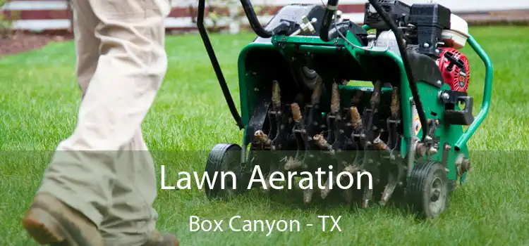 Lawn Aeration Box Canyon - TX