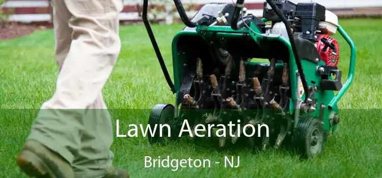 Lawn Aeration Bridgeton - NJ