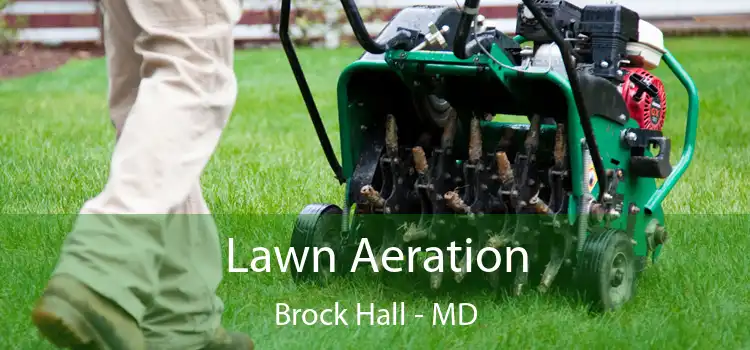 Lawn Aeration Brock Hall - MD