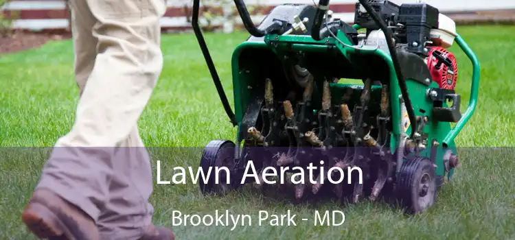 Lawn Aeration Brooklyn Park - MD