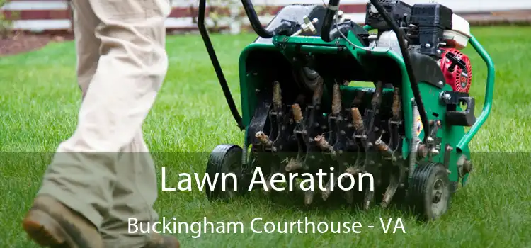 Lawn Aeration Buckingham Courthouse - VA