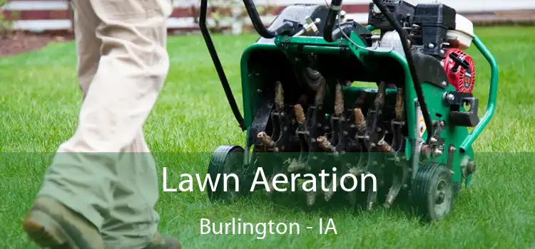 Lawn Aeration Burlington - IA