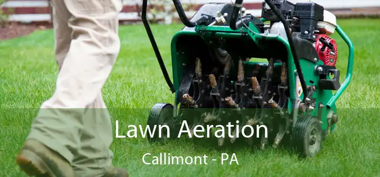 Lawn Aeration Callimont - PA