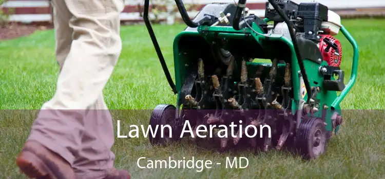  Lawn Aeration Cambridge - MD