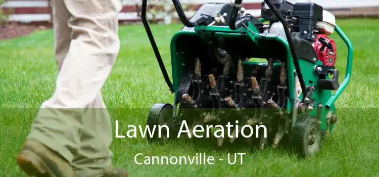 Lawn Aeration Cannonville - UT