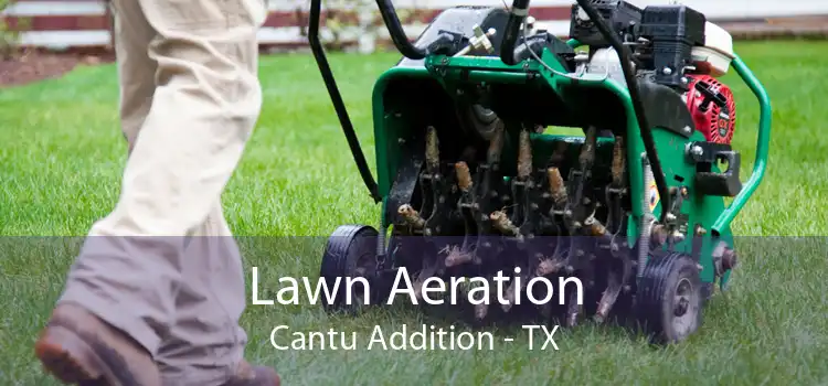 Lawn Aeration Cantu Addition - TX