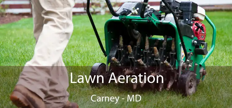 Lawn Aeration Carney - MD