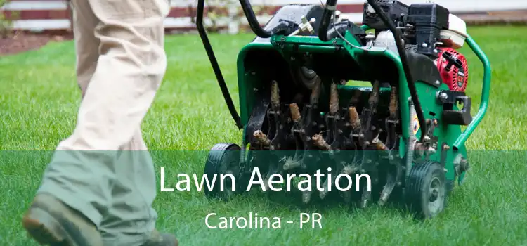 Lawn Aeration Carolina - PR