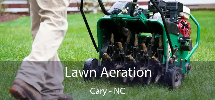 Lawn Aeration Cary - NC