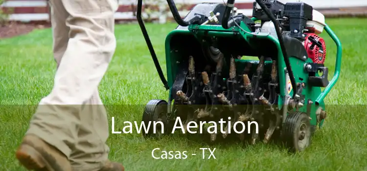 Lawn Aeration Casas - TX