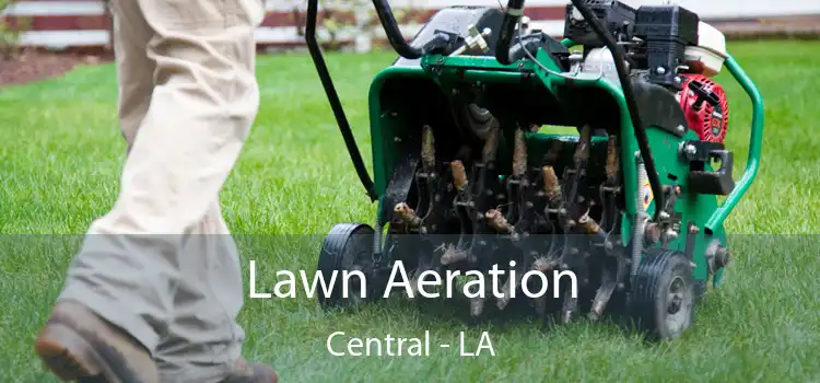 Lawn Aeration Central - LA