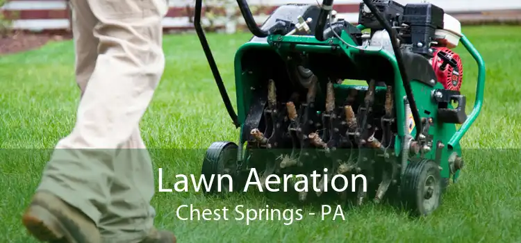 Lawn Aeration Chest Springs - PA